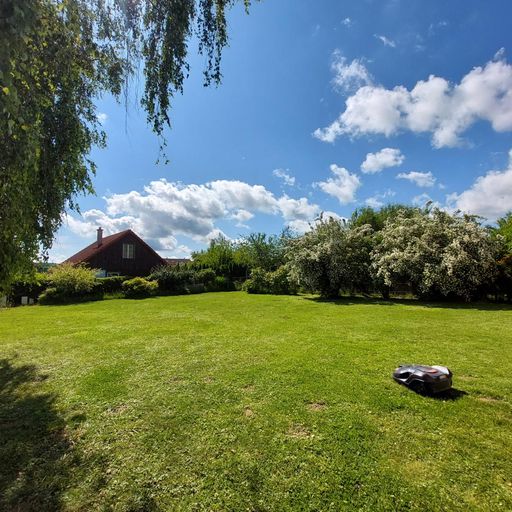 die Wiese wird mittels Mähroboter gepflegt