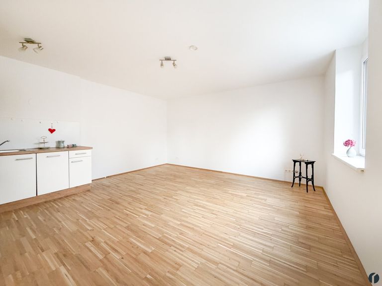 Studio mit offener Küche