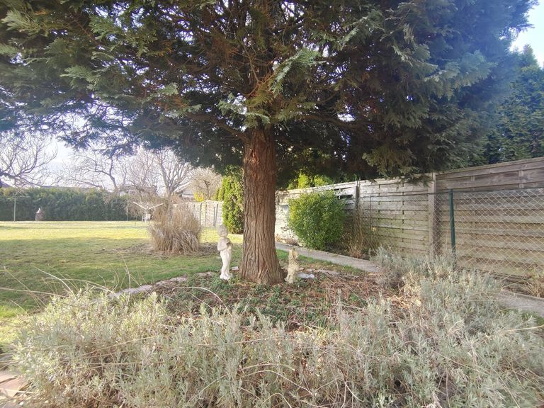 Aussenansicht mit Blick in Garten II