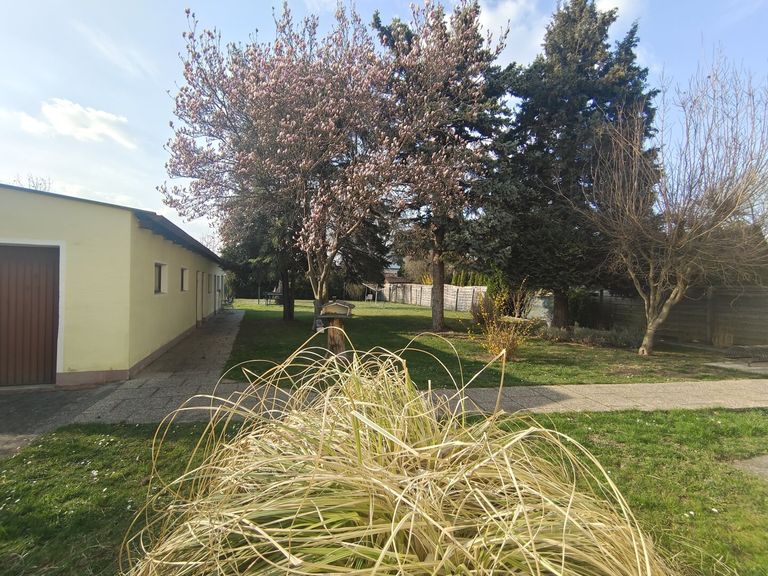 Aussenansicht mit Blick in Garten
