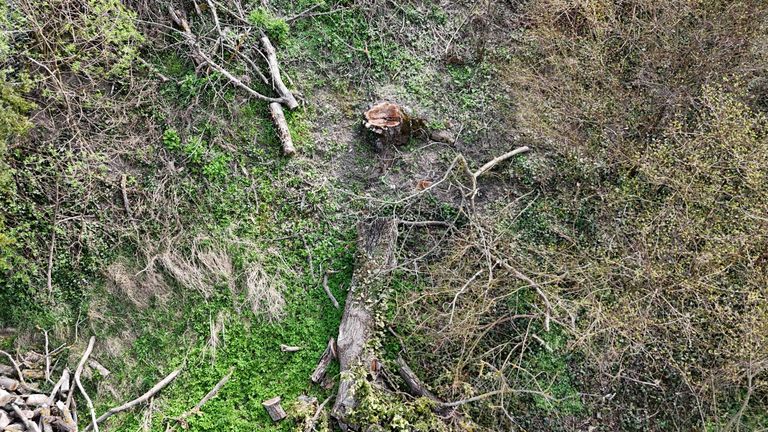 3 Baugrundstück in Königstetten