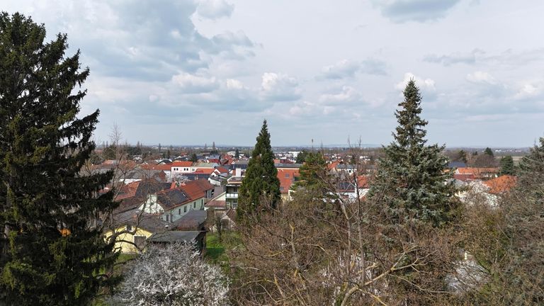 01 Baugrund Königstetten Aussicht