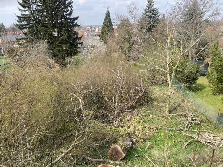 2 Baugrundstück in Königstetten