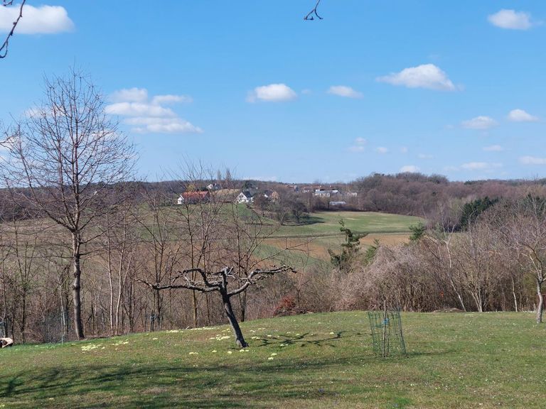 erwachender Frühling im Garten