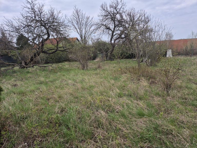 Grundstueck_623_5