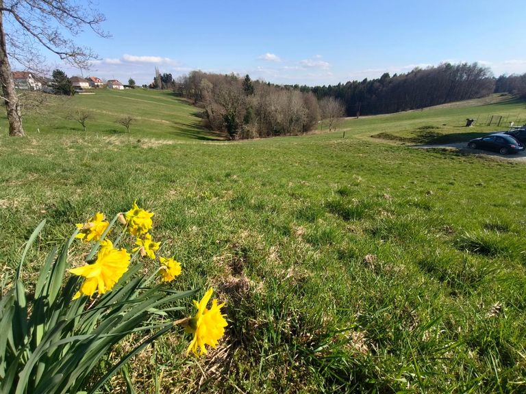 Titelbild Südostrichtung