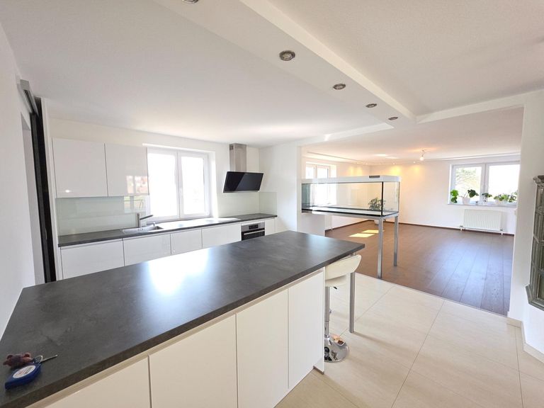 Küche mit Blick ins Wohn-Esszimmer