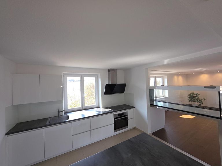 Küche mit Raumteiler (Aquarium)