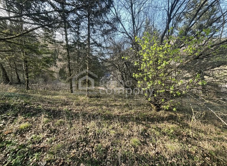 Einfamilienhaus Bezirk Baden