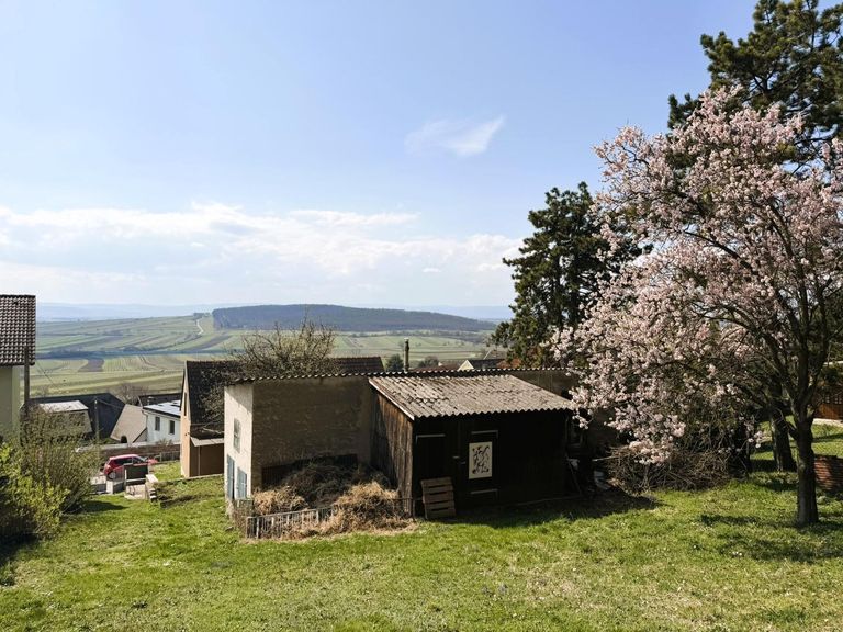 1 Aussicht oberes Grundstück