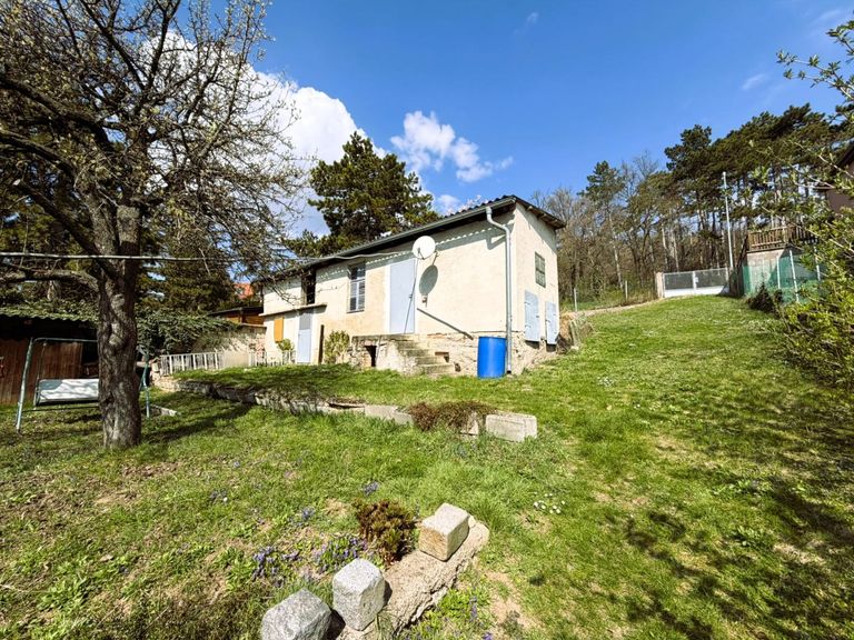 7 Blick Richtung Berg