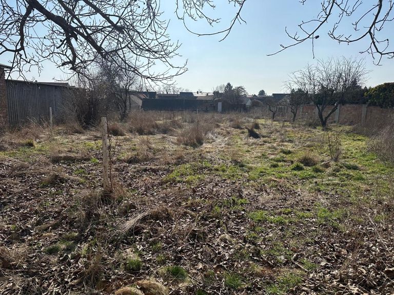 Blick auf das Grundstück vom Stadel