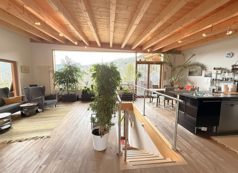 EG Wohn-Küchenbereich