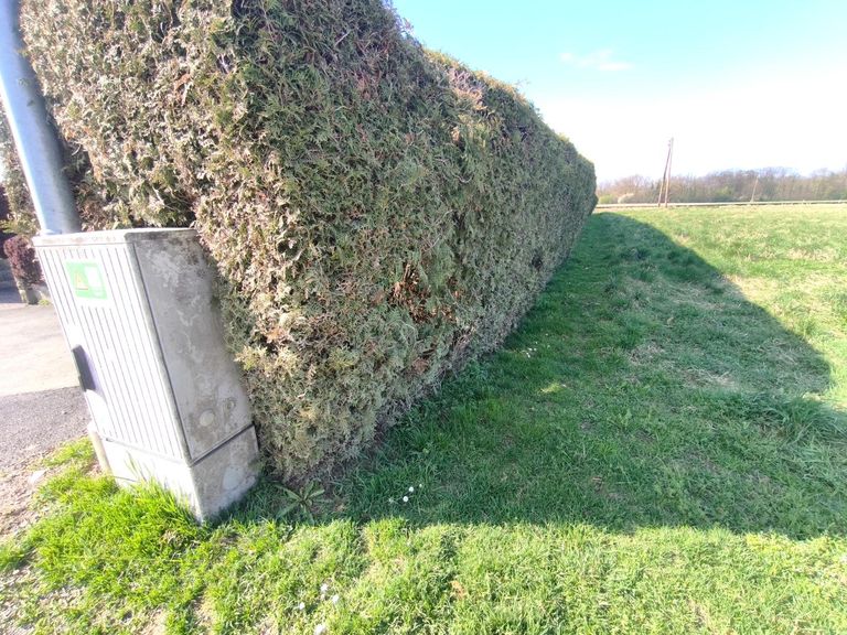 Stromverteiler an Grundgrenze