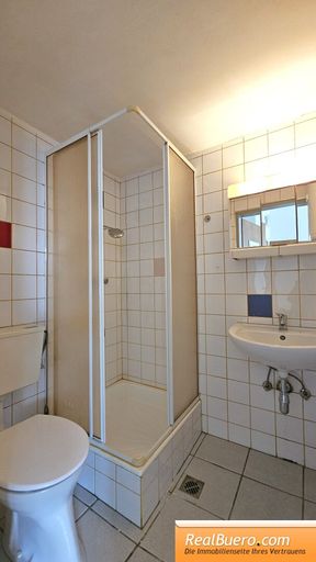 Badezimmer mit Dusche, Toilette, Handwaschbecken und Waschmaschinenanschluss
