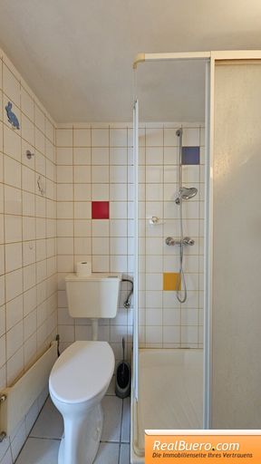 Badezimmer mit Dusche, Toilette, Handwaschbecken und Waschmaschinenanschluss