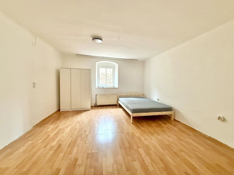 Wohn/Schlafzimmer