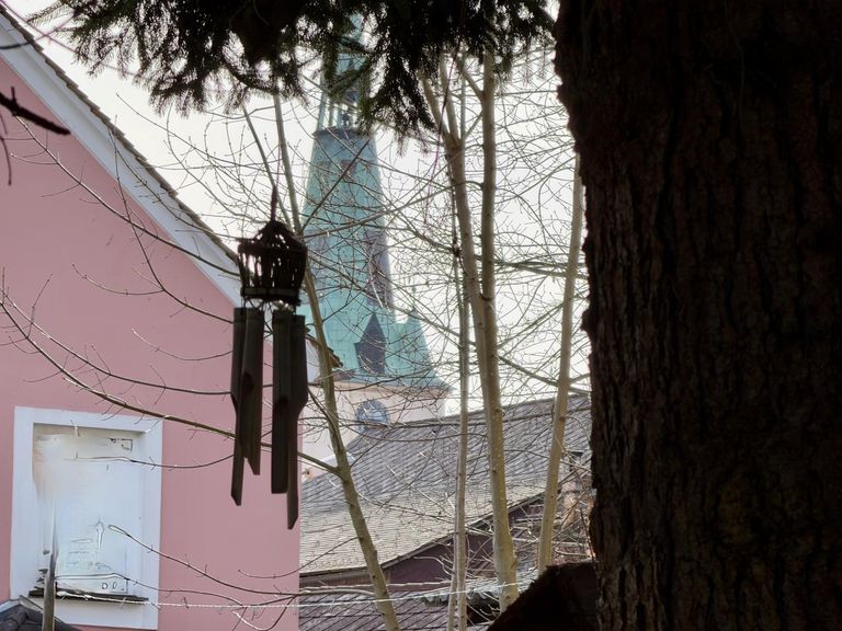 6AFF6A21-98FE-4A3D-A843-EE845252A8AD_1_201_a