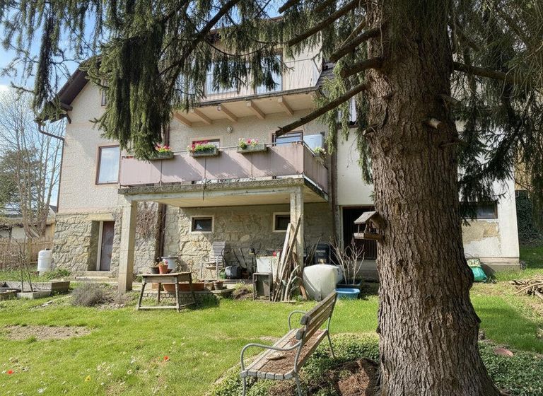 Gartenansicht vom Baum