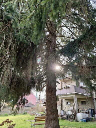 C7D6F2D5-1D08-436D-9697-52E988A07FDA_1_201_a