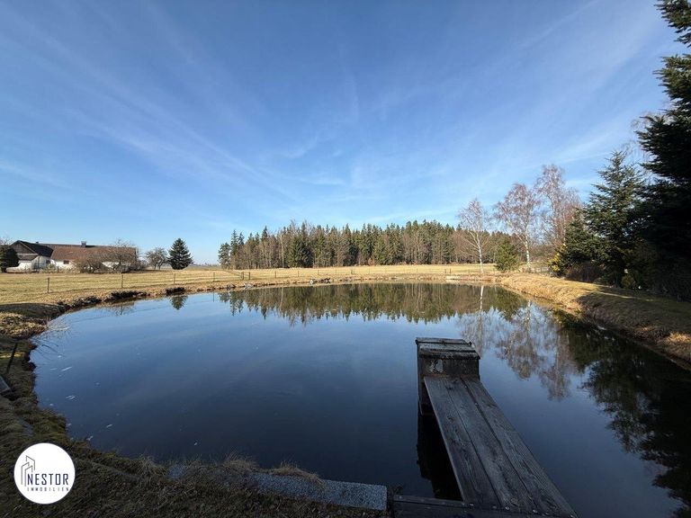 Fischteich - NESTOR Immobilien