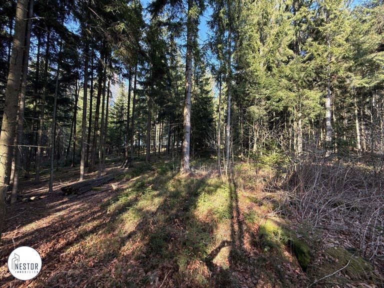 Haus - NESTOR Immobilien