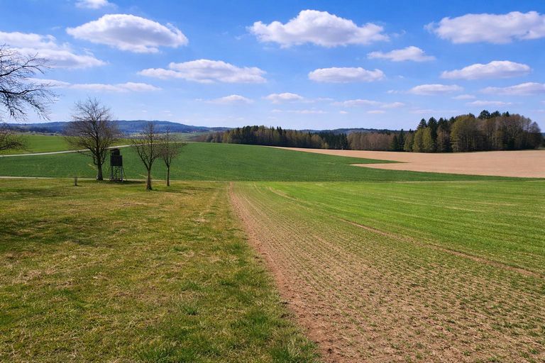 Liegenschaft St. Willibald (11)