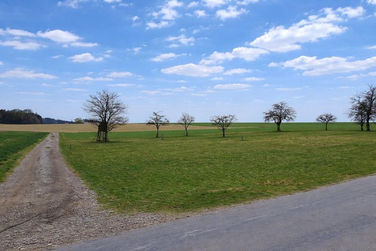 Liegenschaft St. Willibald (2)