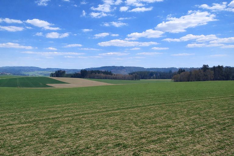 Liegenschaft St. Willibald (3)