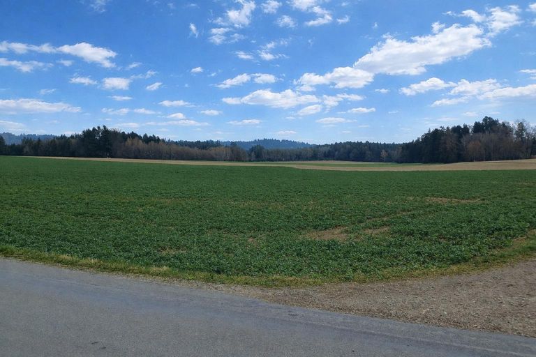 Liegenschaft St. Willibald (1)