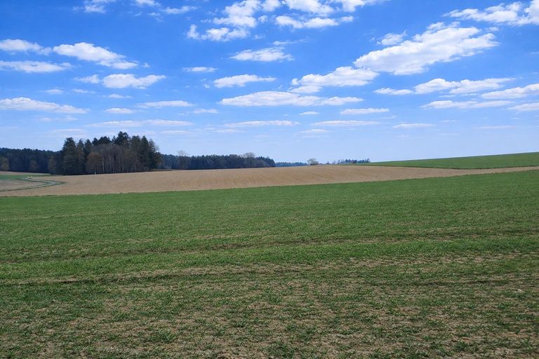 Liegenschaft St. Willibald (4)