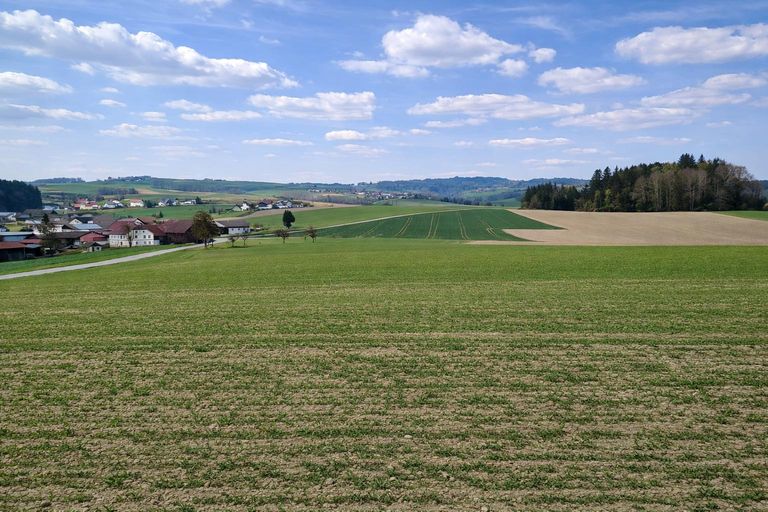 Liegenschaft St. Willibald (13)