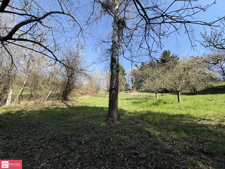 Landwirtschaftliche Fläche - Apfelgarten