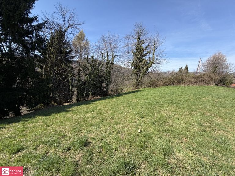 Landwirtschaftliche Fläche - nördliches Grundstück