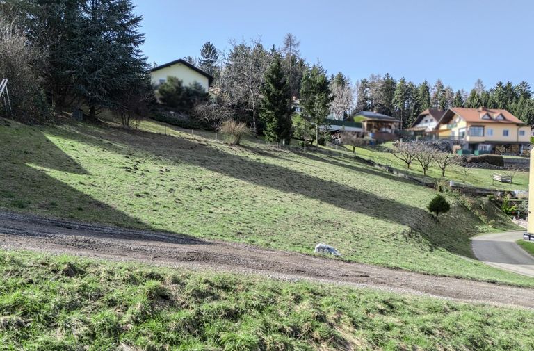 DJI_20241228113230_0088_D