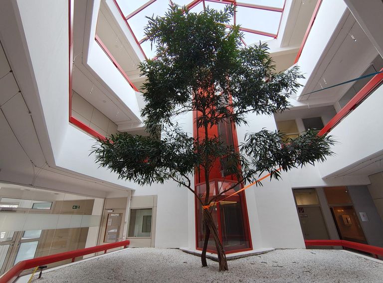 Atrium