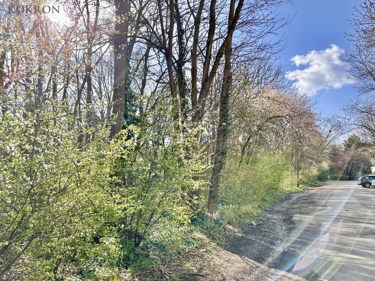 Der Rote Berg vor der Haustüre