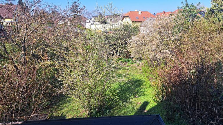 Blick vom Dachboden in den Garten