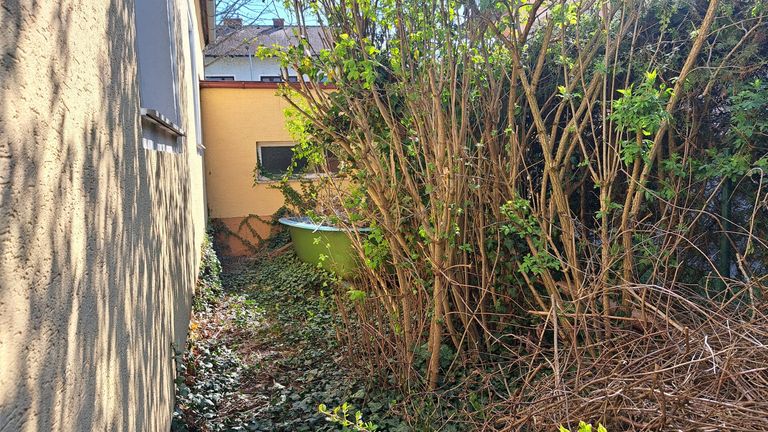 Linke Seite vom Haus, Hinter der Garage