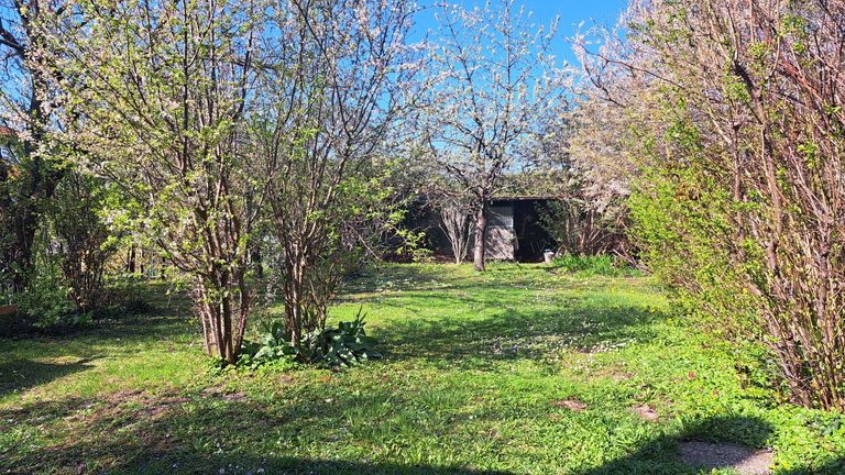 Blick in den Garten
