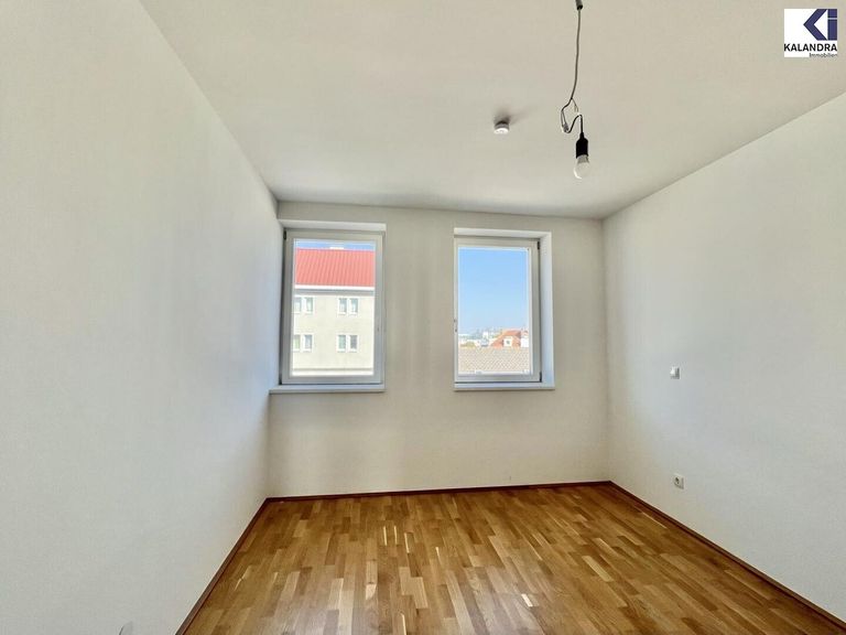 Zimmer1