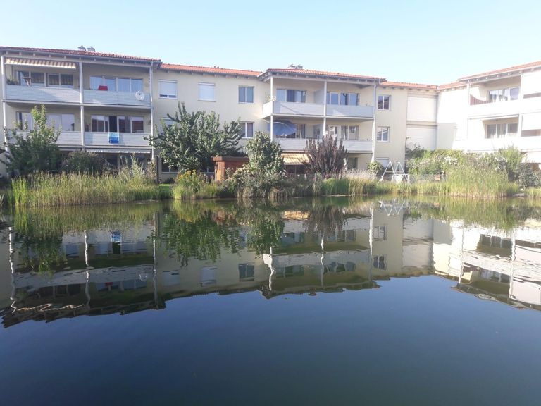Schwimmteich