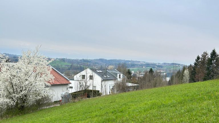 IMG_3577