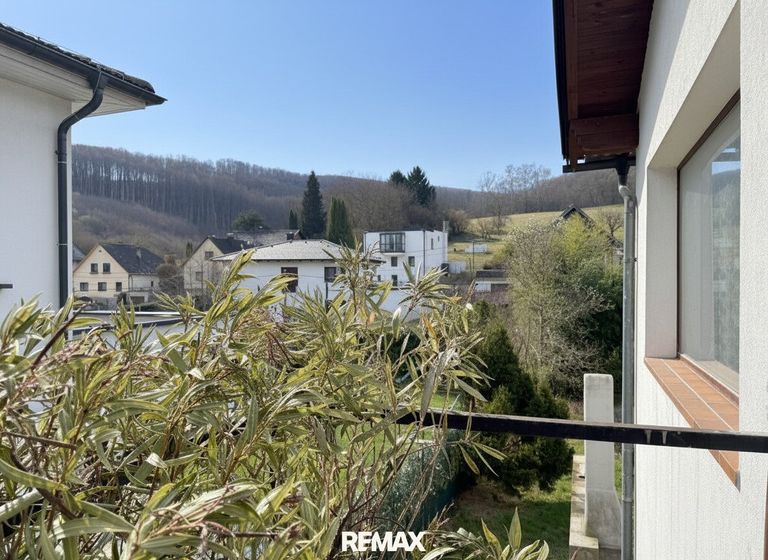 Blick vom Eingang