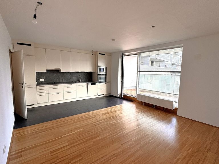 Wohnzimmer mit Einbauküche