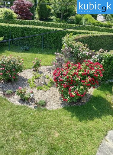 Blick in den Garten von der Mansarde