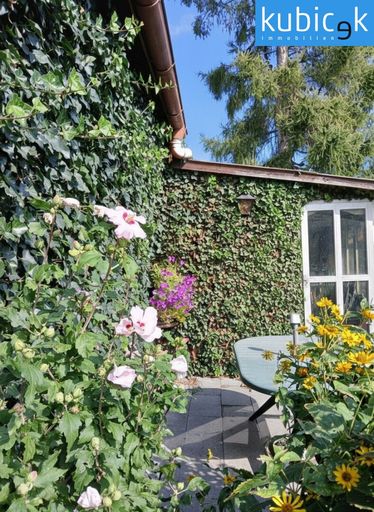 Seitenansicht/Terrasse