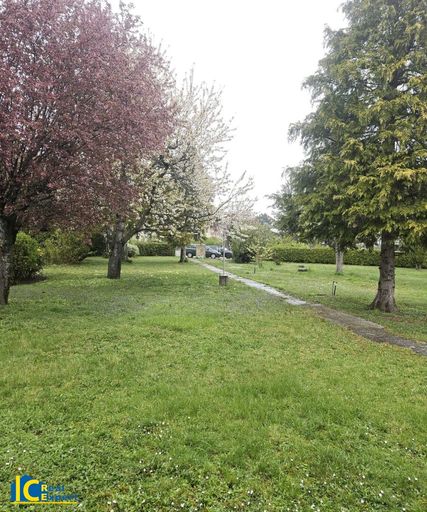 Großer parkähnlicher Grund