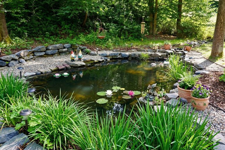 Teich am Grundstück