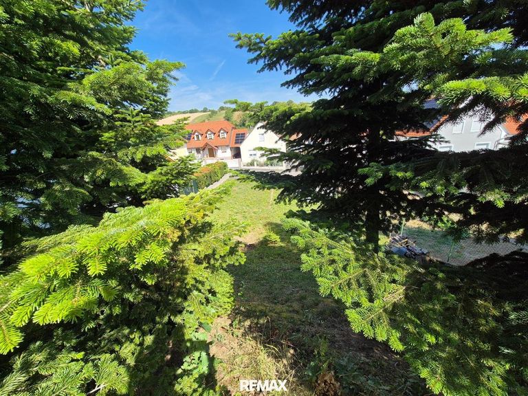 Blick vom hinteren Teil des Grunstsücks